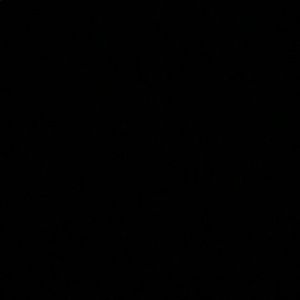 Meet your Posher, Jataveon